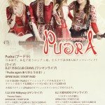Pudra_flyer